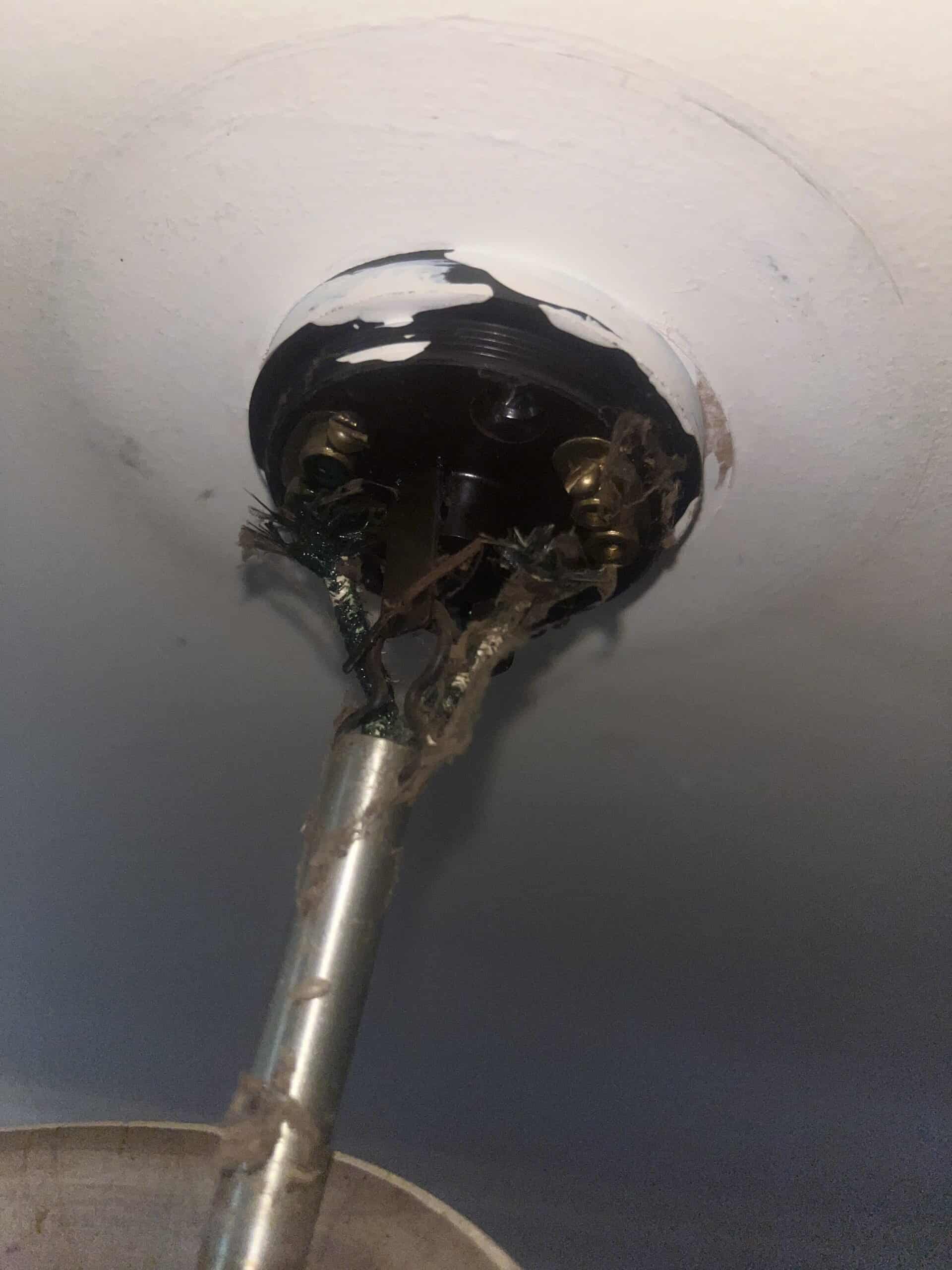 Loose ceiling light fixture wiring on a white ceiling inside a building, with the fixture removed and electrical wires exposed.